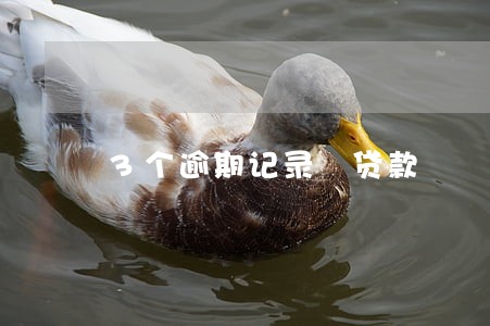3个逾期记录 贷款 3个逾期记录 贷款